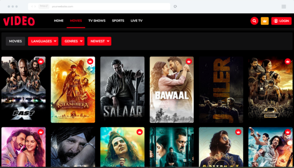 Video Streaming Portal v2.4 - TV Shows, Movies, Sports, Videos Streaming, Live TV - nulled